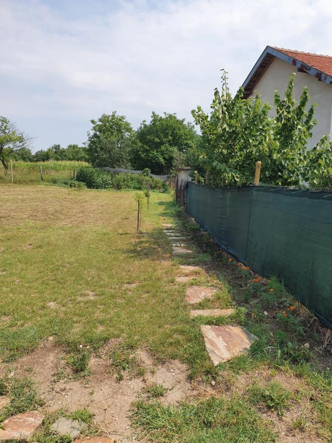 Malavi Guest House Krasen! Comfort&Clean! Esterno foto
