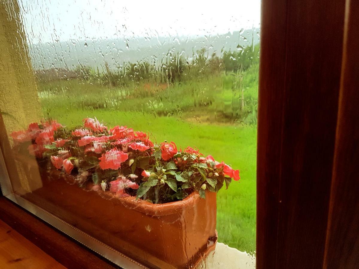 Malavi Guest House Krasen! Comfort&Clean! Esterno foto